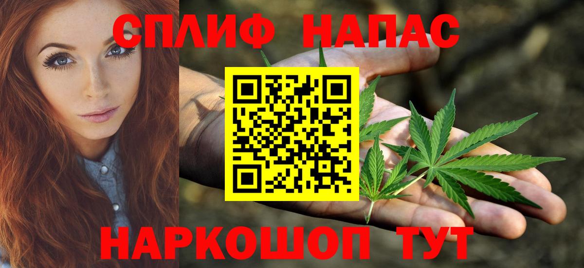 Благодарный  Шишки марихуана Bruce Banner  Вход с VPN  Шишки марихуана White Widow 